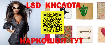 гидропоника Пенза