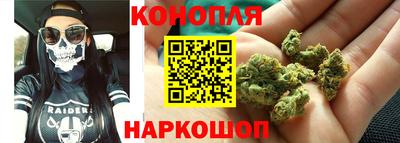 гидропоника Пенза