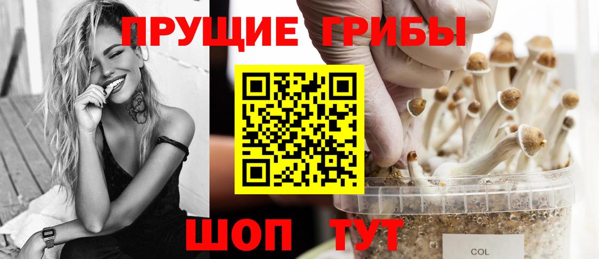 Псилоцибиновые грибы Cubensis Улан-Удэ